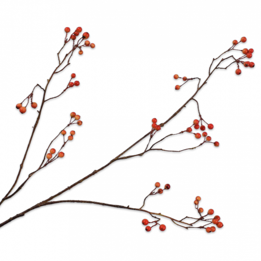 Rama Bayas Roja 94cm