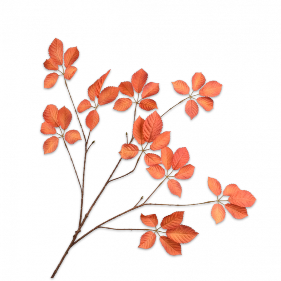 Rama Hoja Naranja 103cm