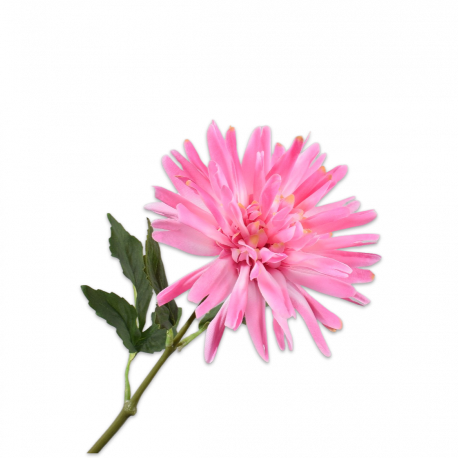 Dahlia Tallo Rosa Claro 59cm
