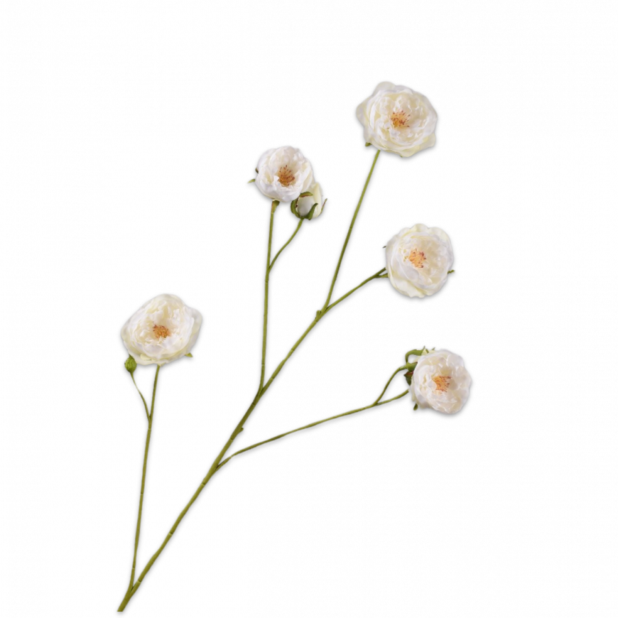 Rosa Rama Crema 103cm