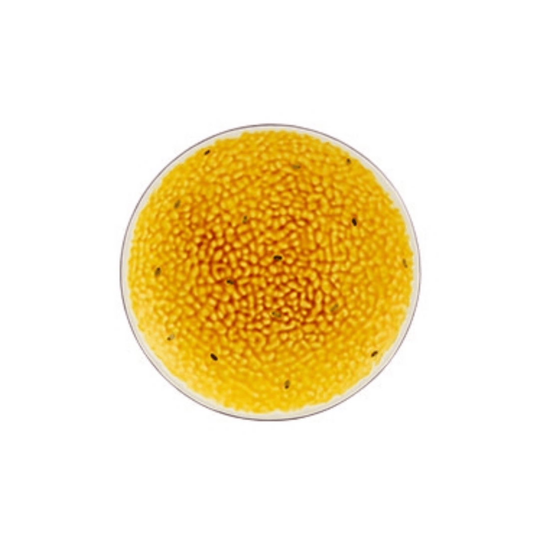 Plato postre Fruta de la Pasión - La Compañía Francesa