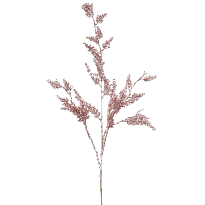 Rama Astilbe Rosa Brillo