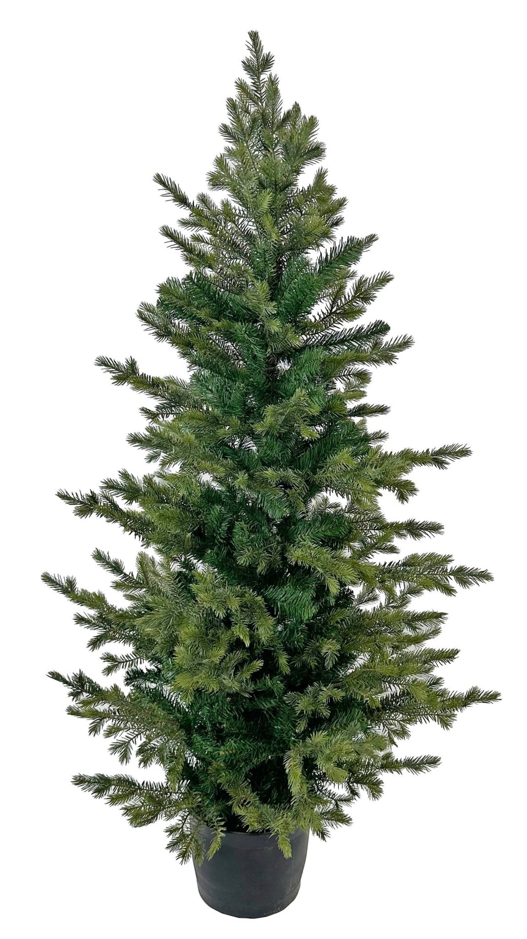 Abeto Verde Minuit 160 CM - La Compañía Francesa