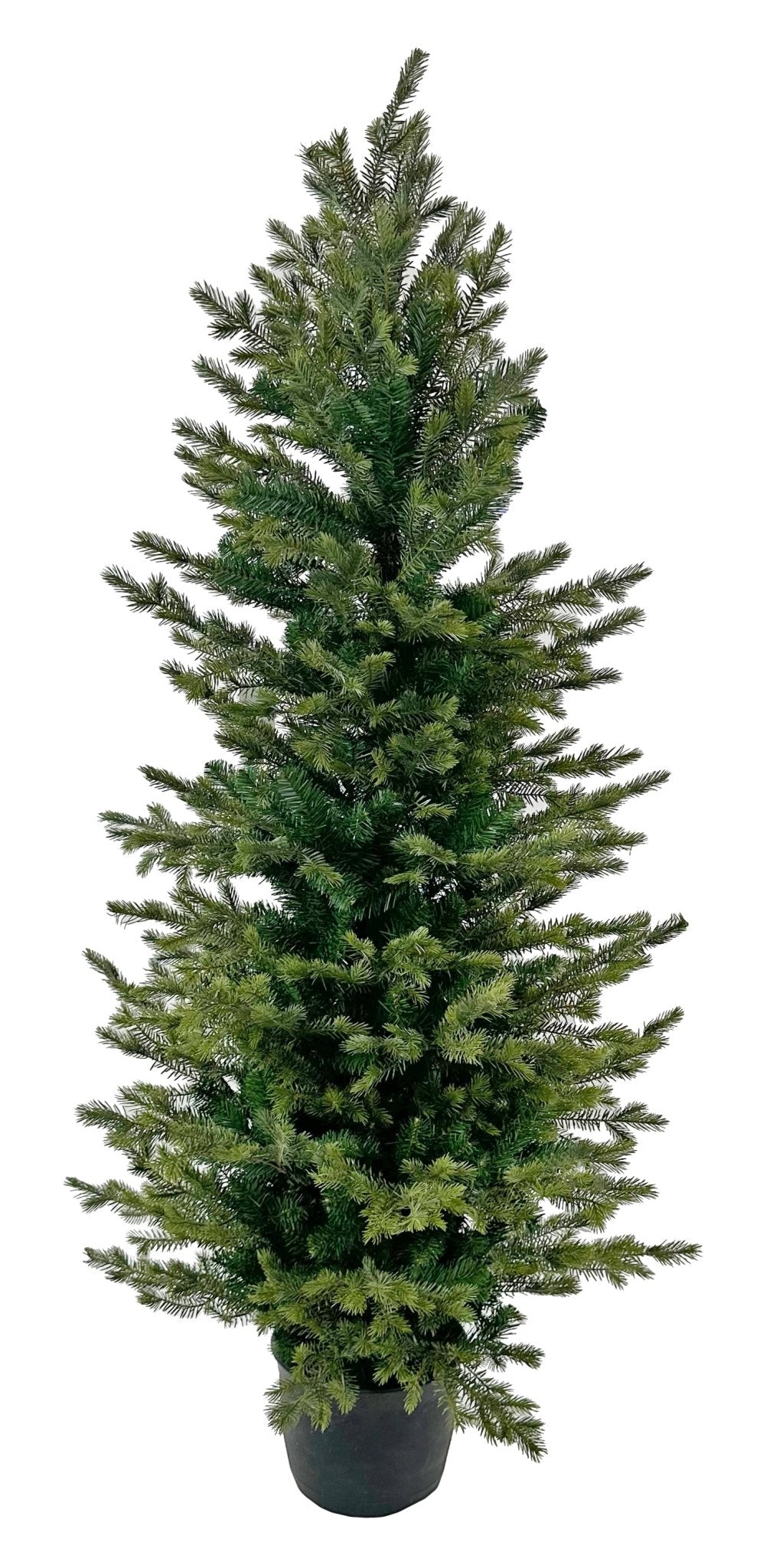 Abeto Verde Minuit 180 CM - La Compañía Francesa