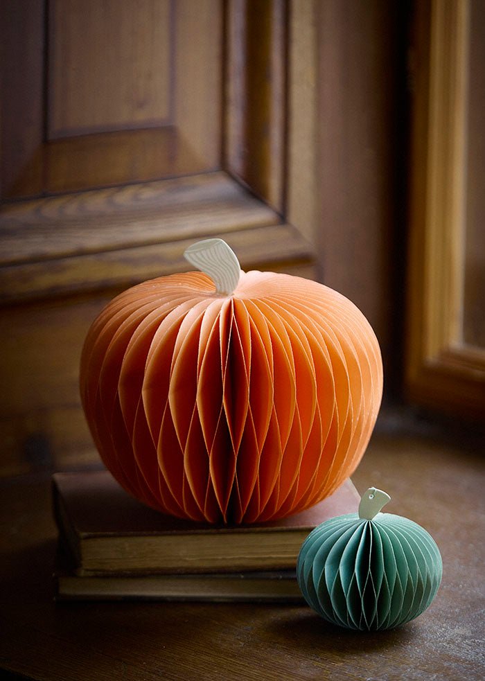 Calabaza de Papel 18 CM - La Compañía Francesa