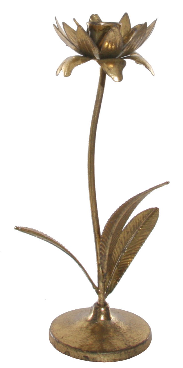 Candelabro Fleur de Lumière Dorée Bajo - La Compañía Francesa