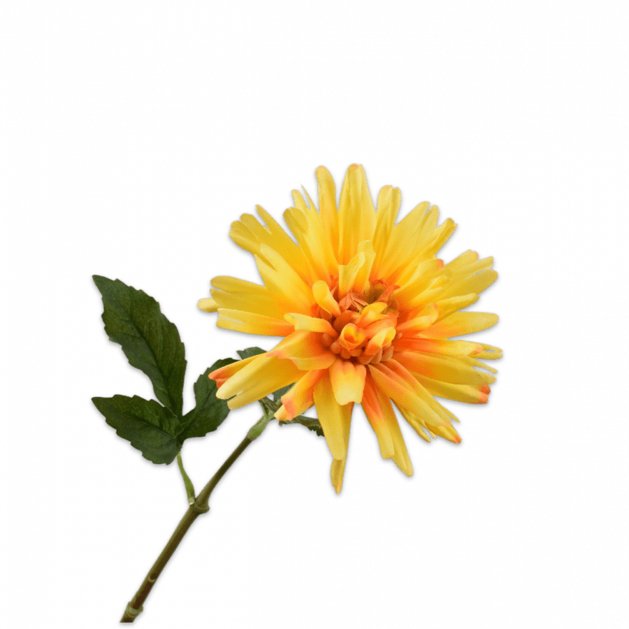 Dahlia Tallo Amarilla 59cm - La Compañía Francesa