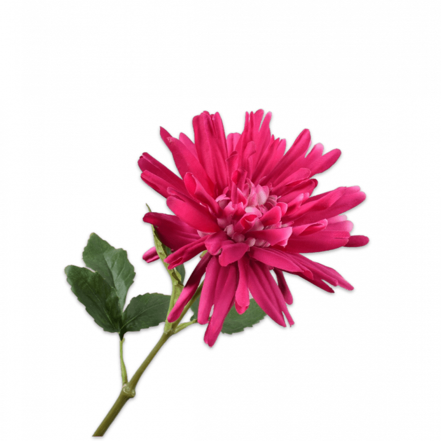 Dahlia Tallo Fucsia 59cm - La Compañía Francesa