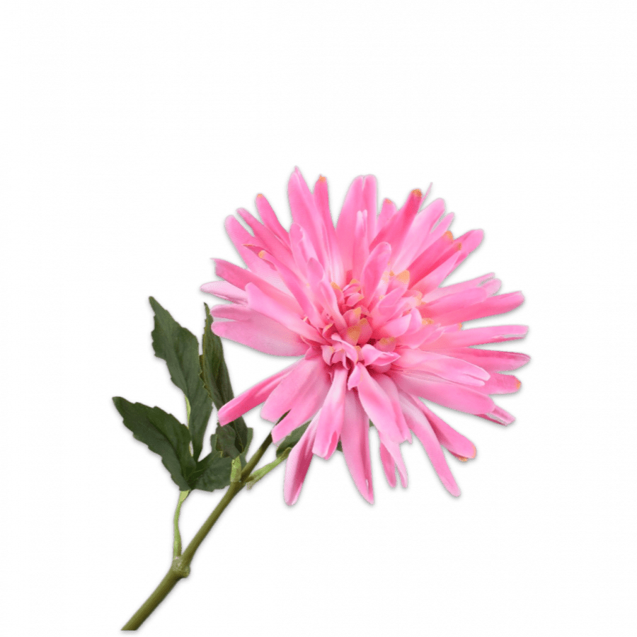 Dahlia Tallo Rosa Claro 59cm - La Compañía Francesa