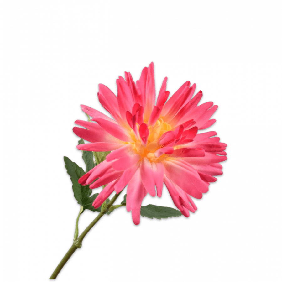 Dahlia Tallo Rosa/Amarillo 59cm - La Compañía Francesa