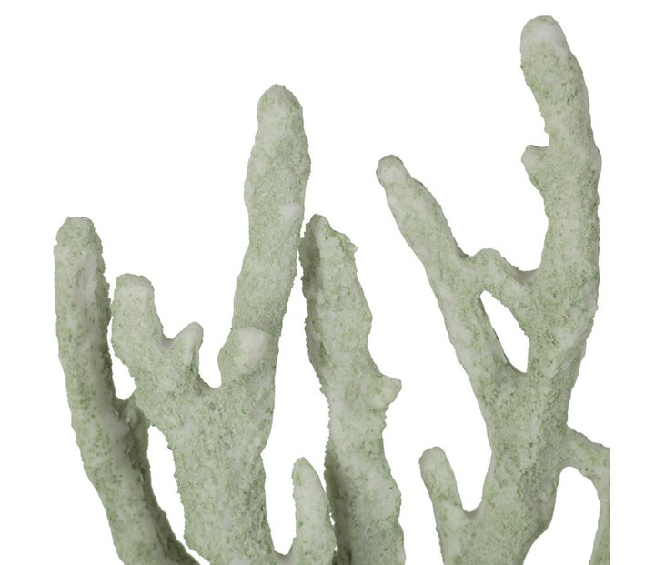 Sea Green Decorative Coral