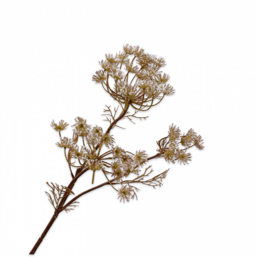 Eneldo Rama Rosa Claro 82cm - La Compañía Francesa