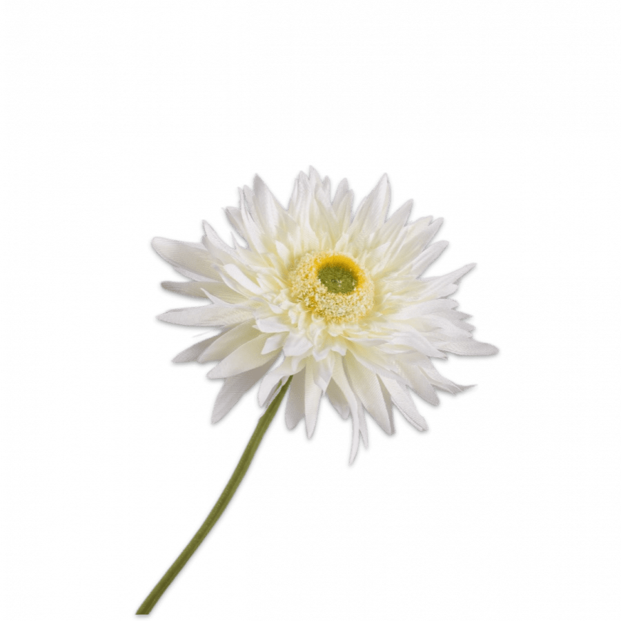 Gerbera Tallo Blanco 61cm - La Compañía Francesa