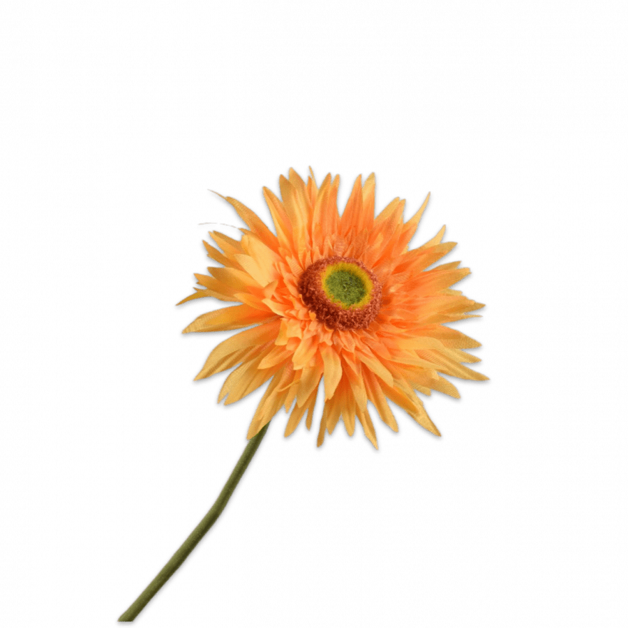 Gerbera Tallo Naranja 61cm - La Compañía Francesa