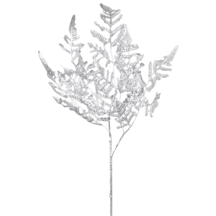 Helecho Plateado - La Compañía Francesa