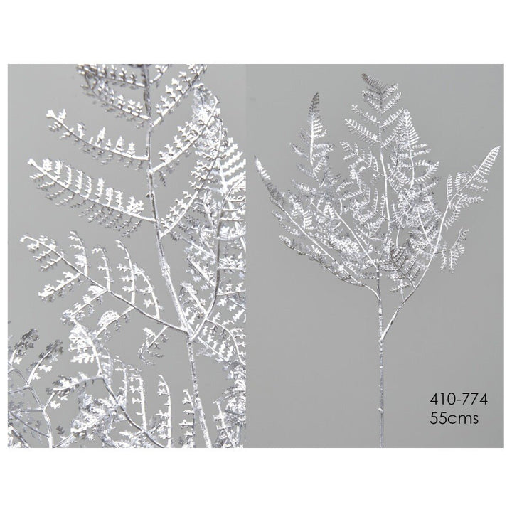 Helecho Plateado - La Compañía Francesa