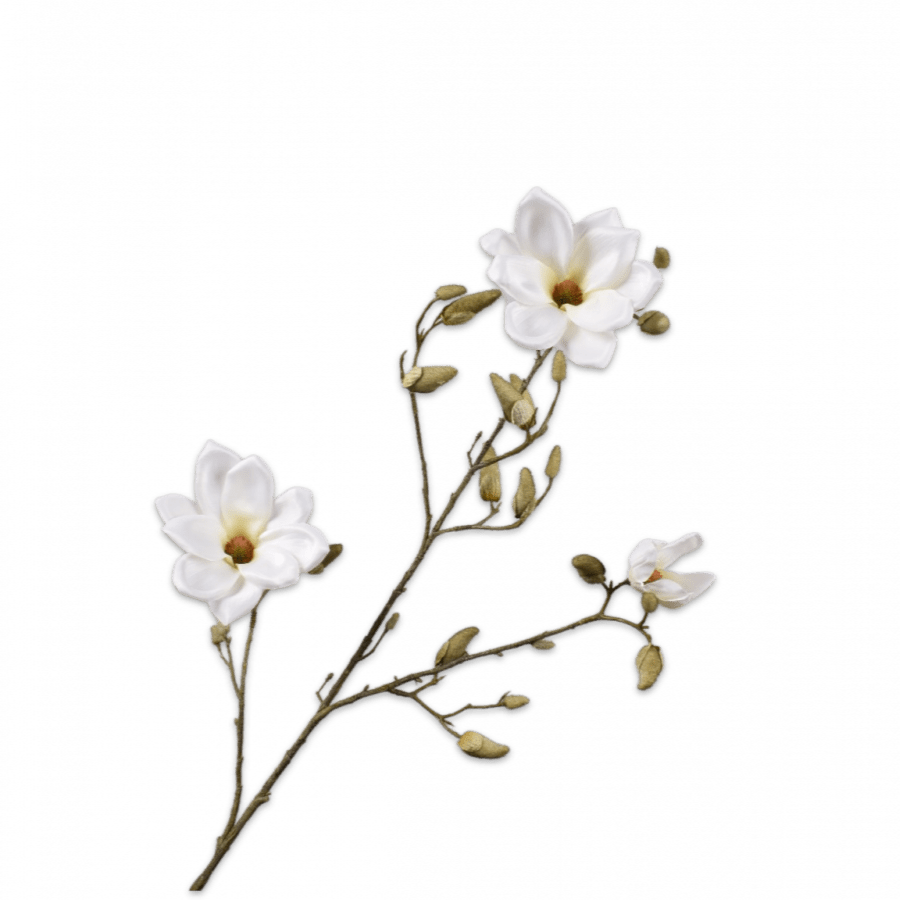 Magnolia Rama Crema 103cm - La Compañía Francesa