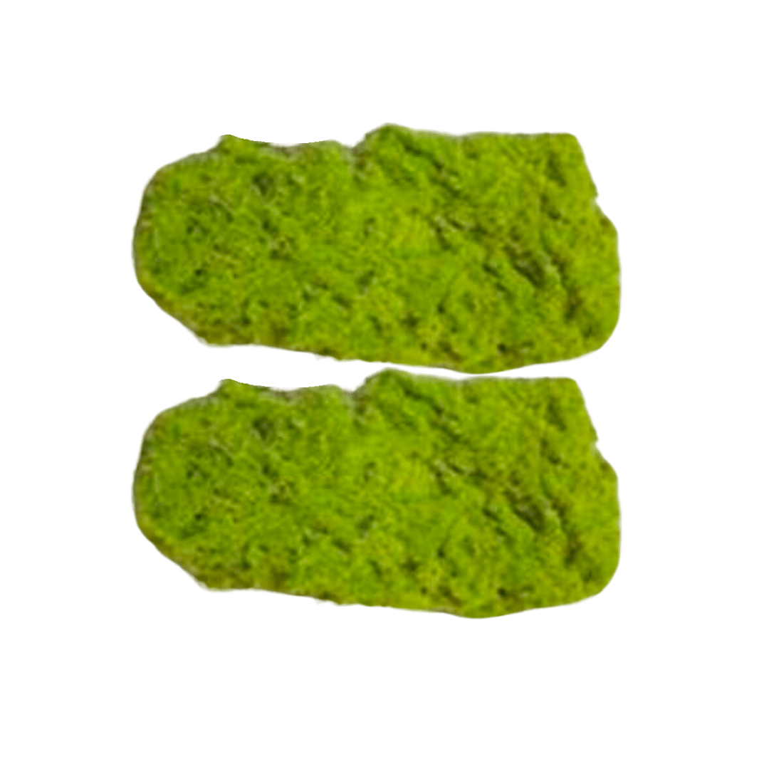 Musgo Verde Decorativo - La Compañía Francesa