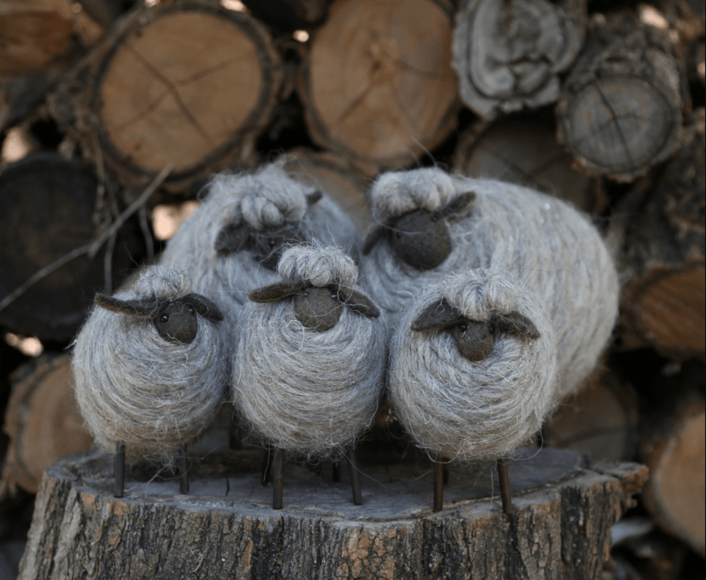 Oveja en Lana Pequeña - La Compañía Francesa