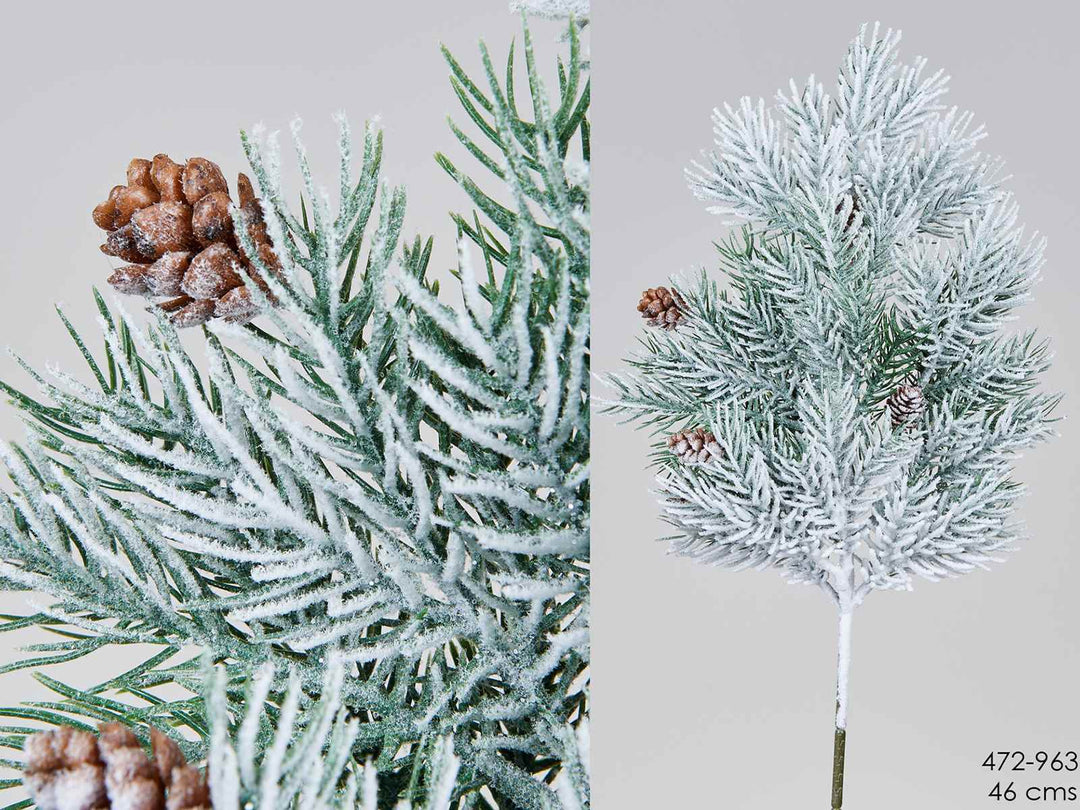 Rama Abeto Nevado - La Compañía Francesa