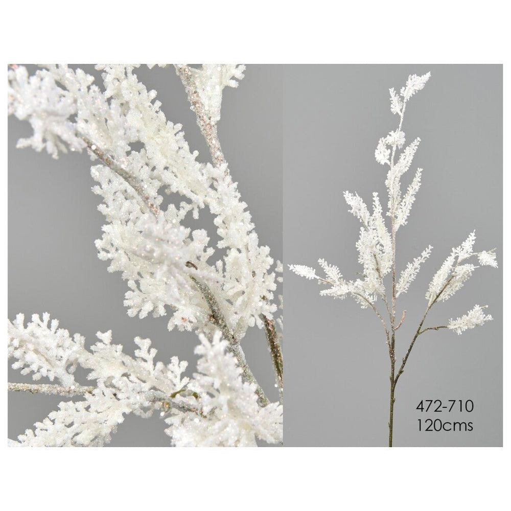 Rama Astilbe Blanca Brillo - La Compañía Francesa