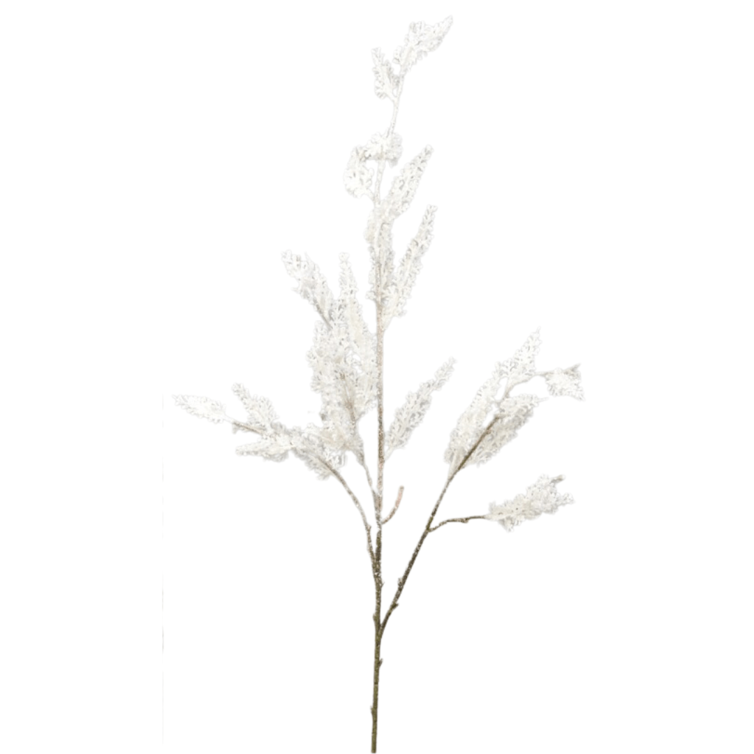 Rama Astilbe Blanca Brillo - La Compañía Francesa