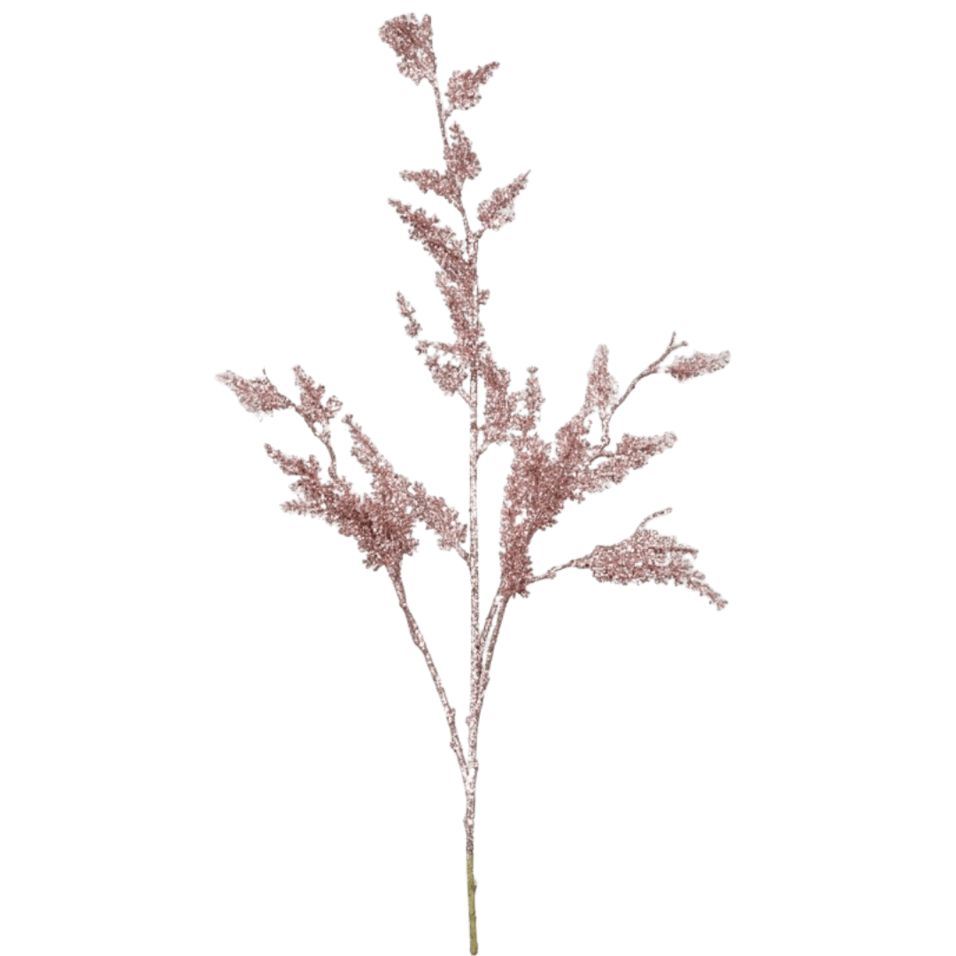 Rama Astilbe Rosa Brillo - La Compañía Francesa