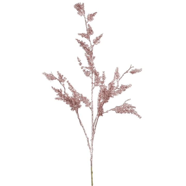 Rama Astilbe Rosa Brillo - La Compañía Francesa