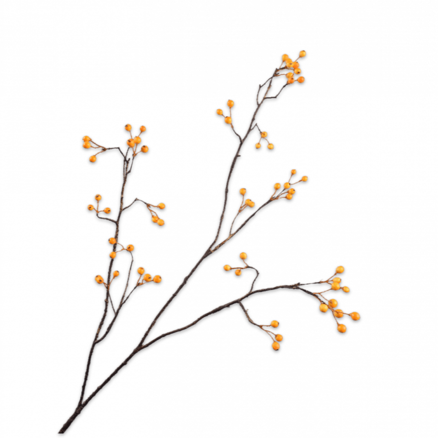 Rama Bayas Naranja 94cm - La Compañía Francesa