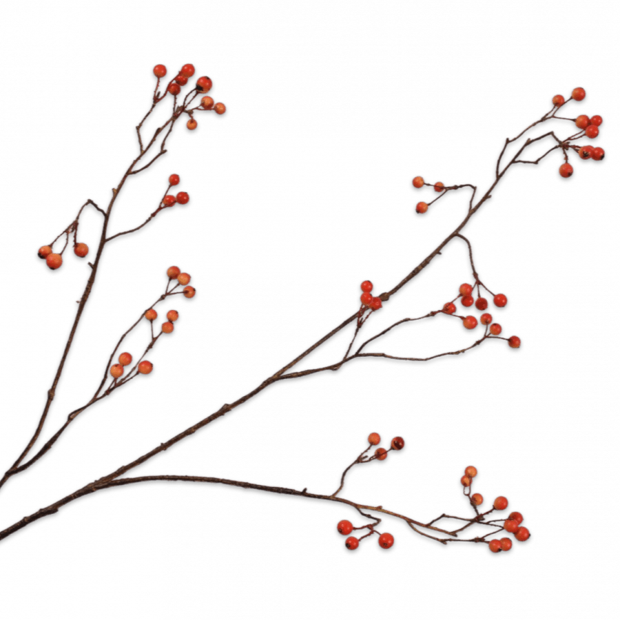 Rama Bayas Roja 94cm - La Compañía Francesa