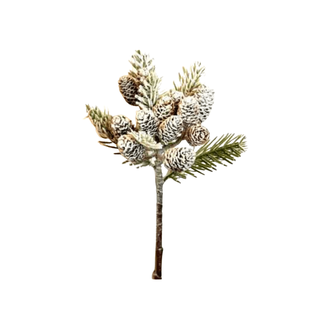 Rama de Abeto Nevado Con Piñas De Navidad - La Compañía Francesa