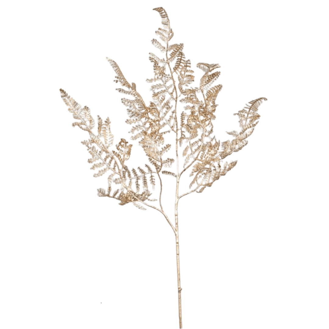 Rama Helecho Dorado - La Compañía Francesa
