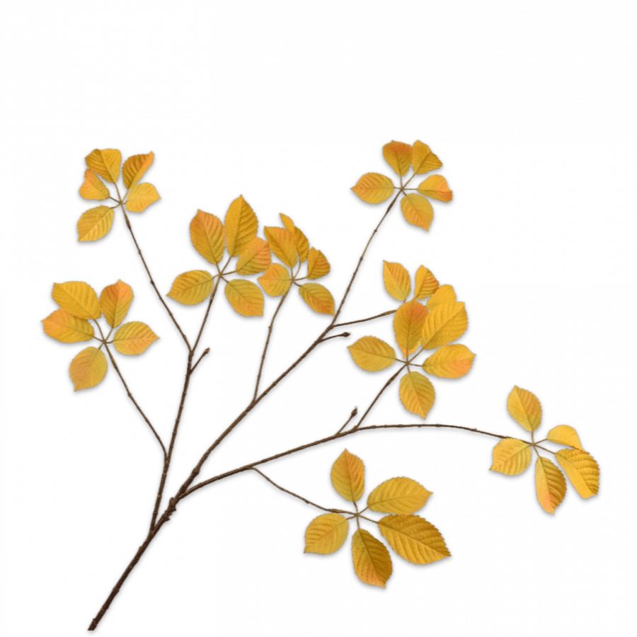 Rama Hoja Amarilla 103cm - La Compañía Francesa
