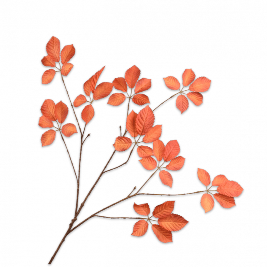 Rama Hoja Naranja 103cm - La Compañía Francesa
