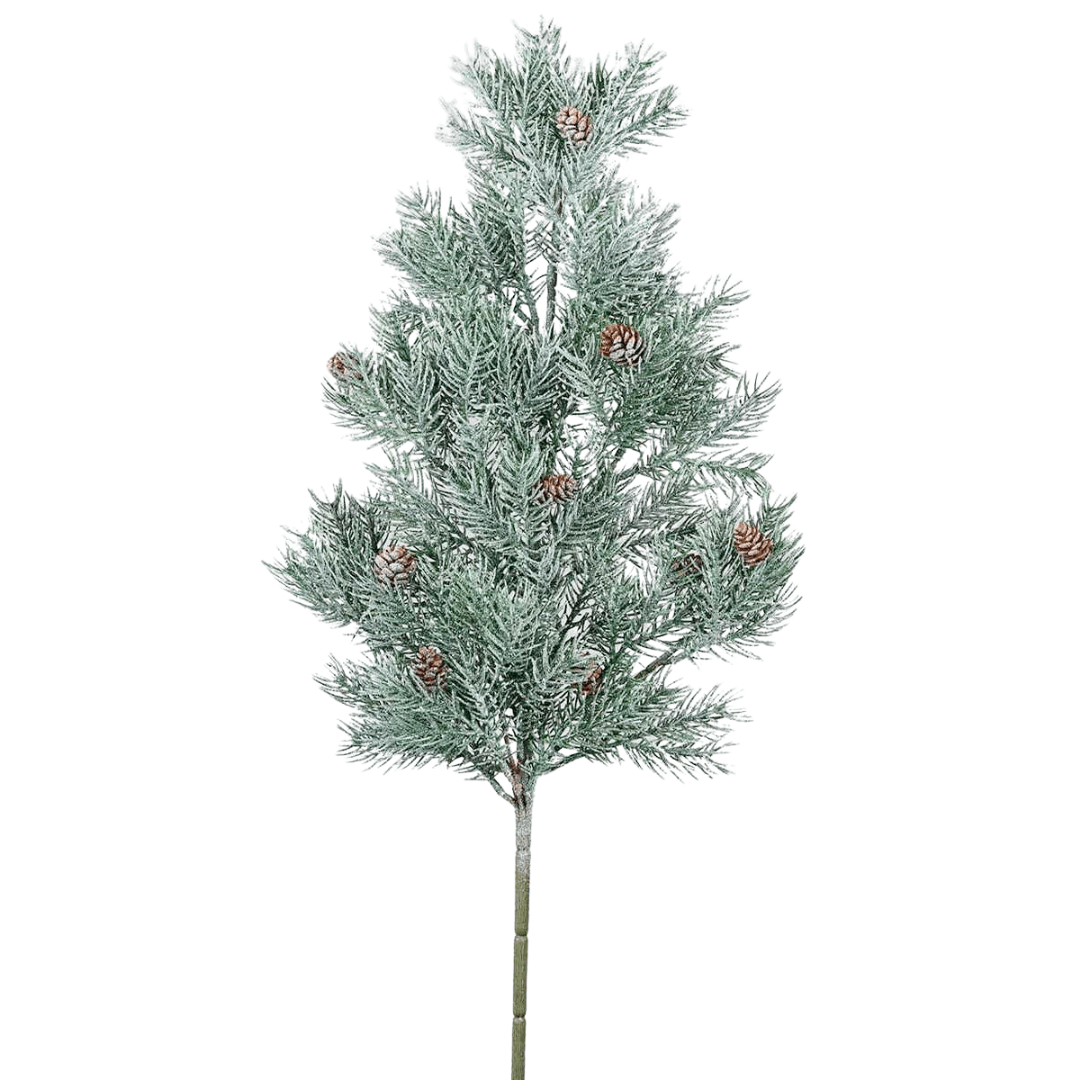 Rama Pino Nevado - La Compañía Francesa