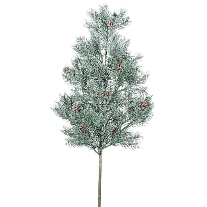 Rama Pino Nevado - La Compañía Francesa