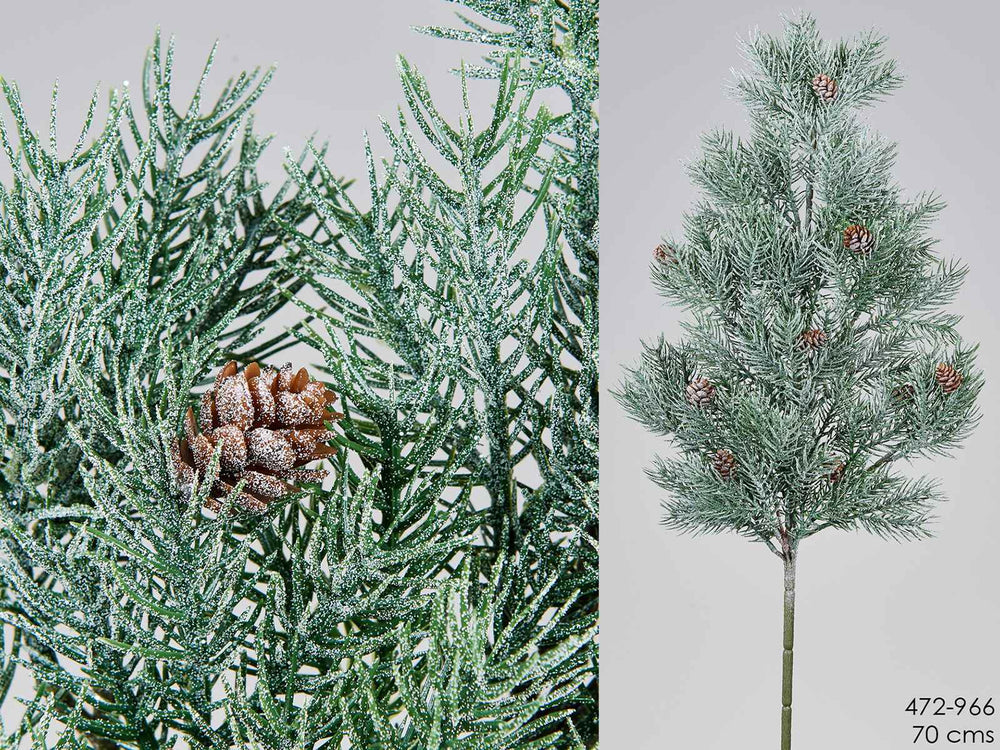 Rama Pino Nevado - La Compañía Francesa