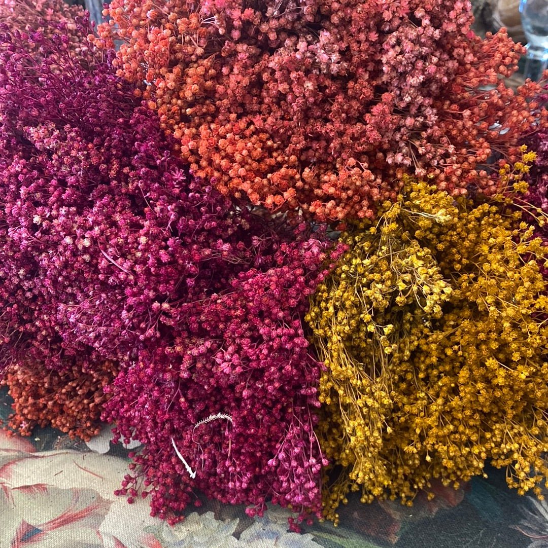 Ramo de Broom Amarillo - La Compañía Francesa