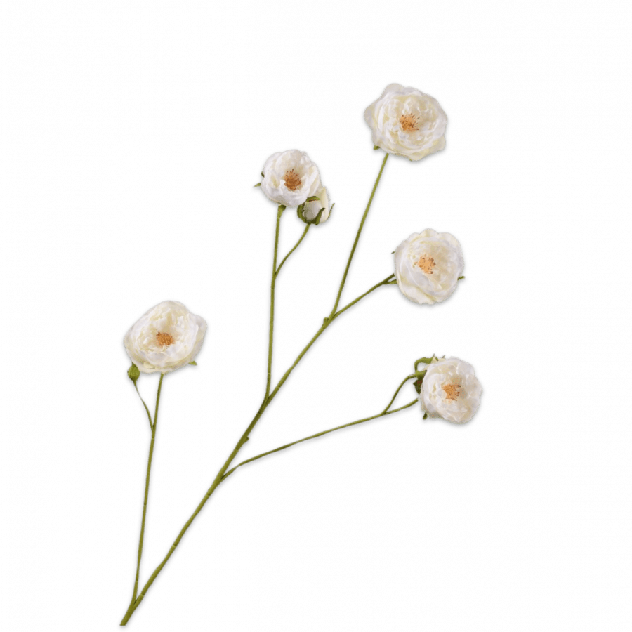 Rosa Rama Crema 103cm - La Compañía Francesa