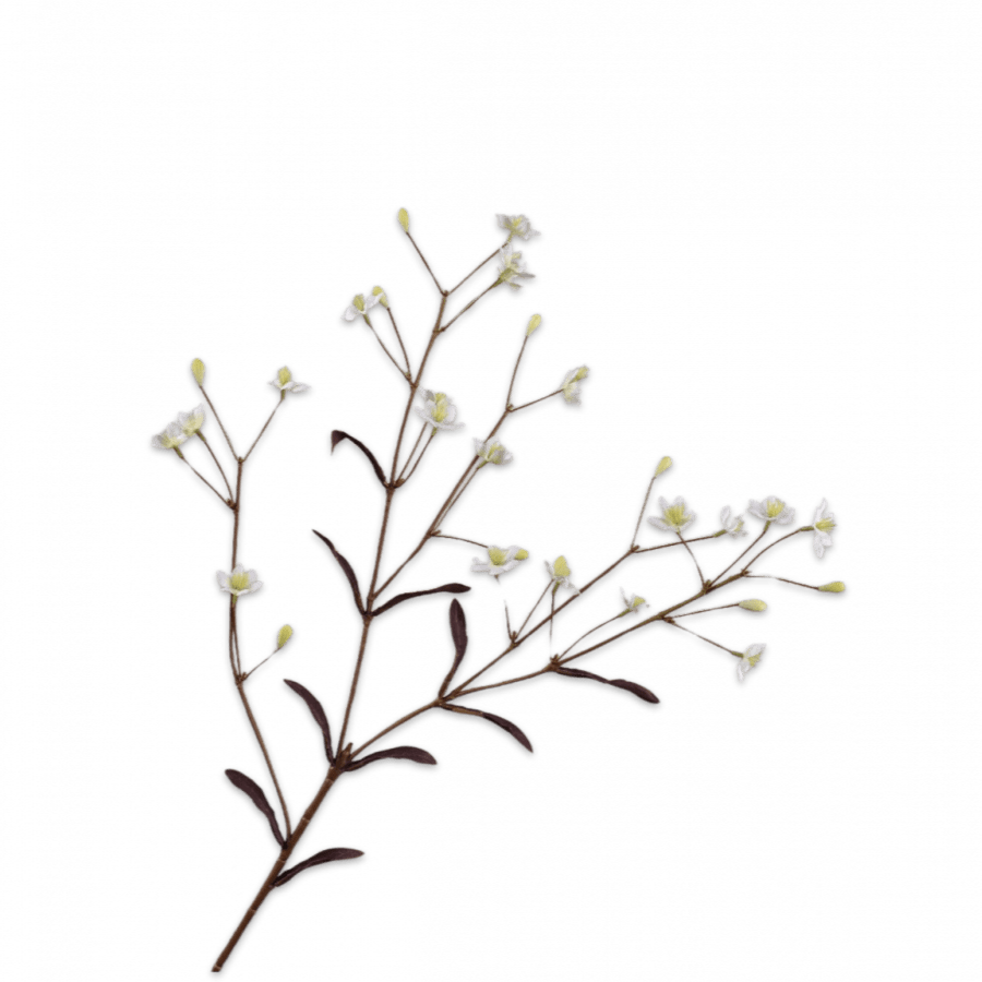 Thalictrum Rama Blanco 71cm - La Compañía Francesa