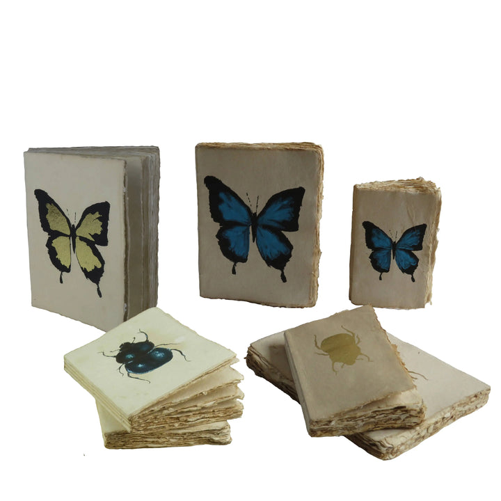Cuaderno Mariposa Dorada | A6