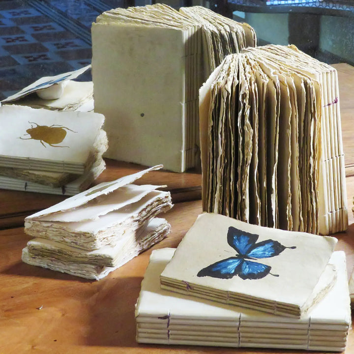 Cuaderno Mariposa Dorada | A6