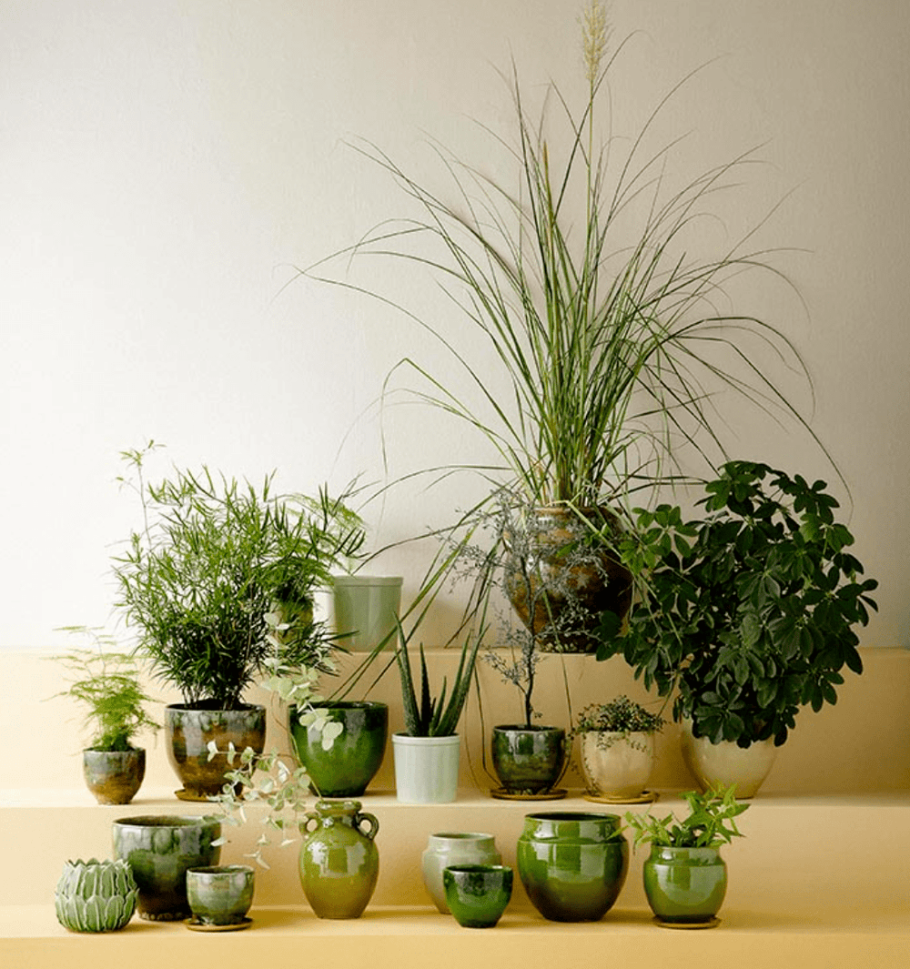 Macetero de Gres Vital Grass Grande - La Compañía Francesa