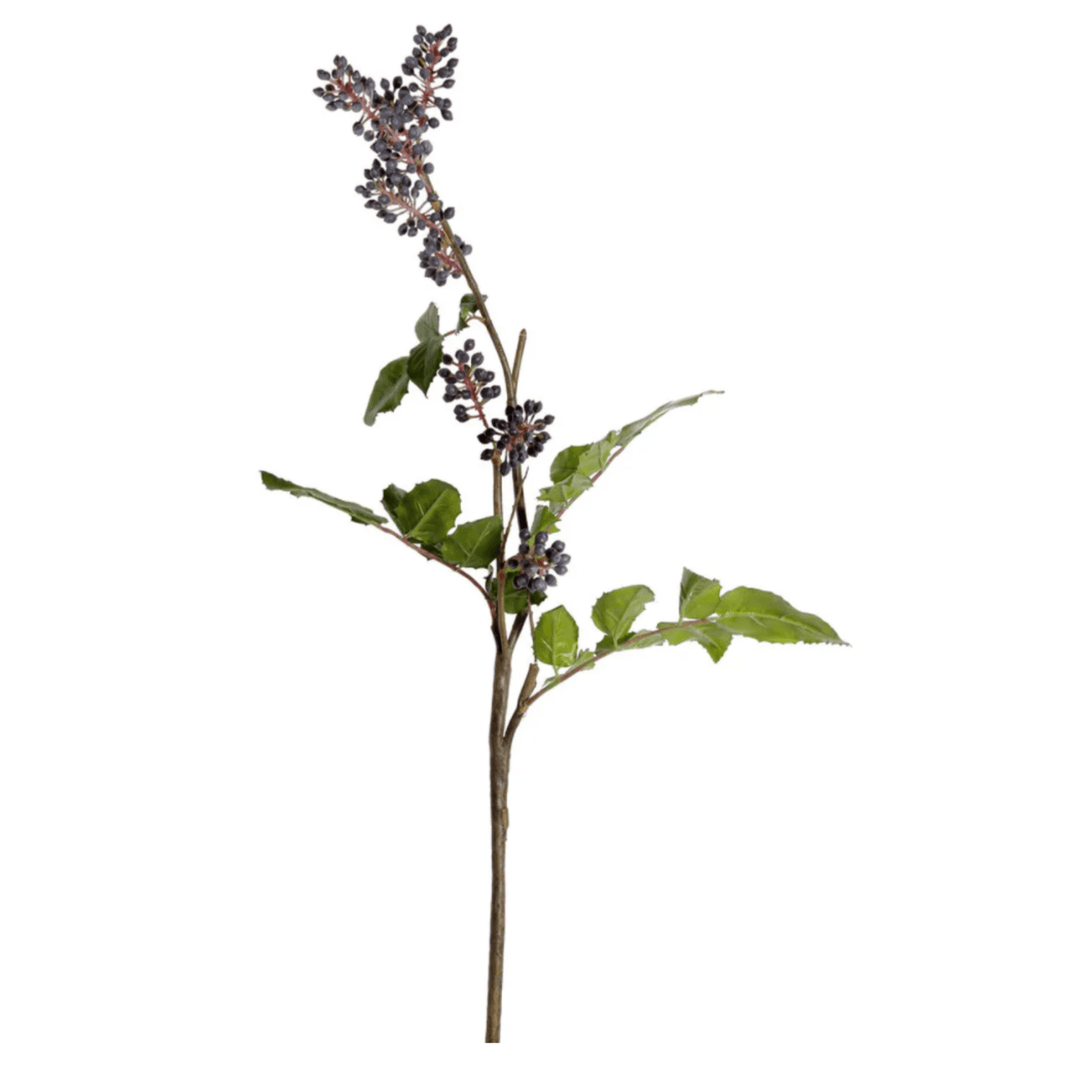 Ramita de Mahonia - La Compañía Francesa