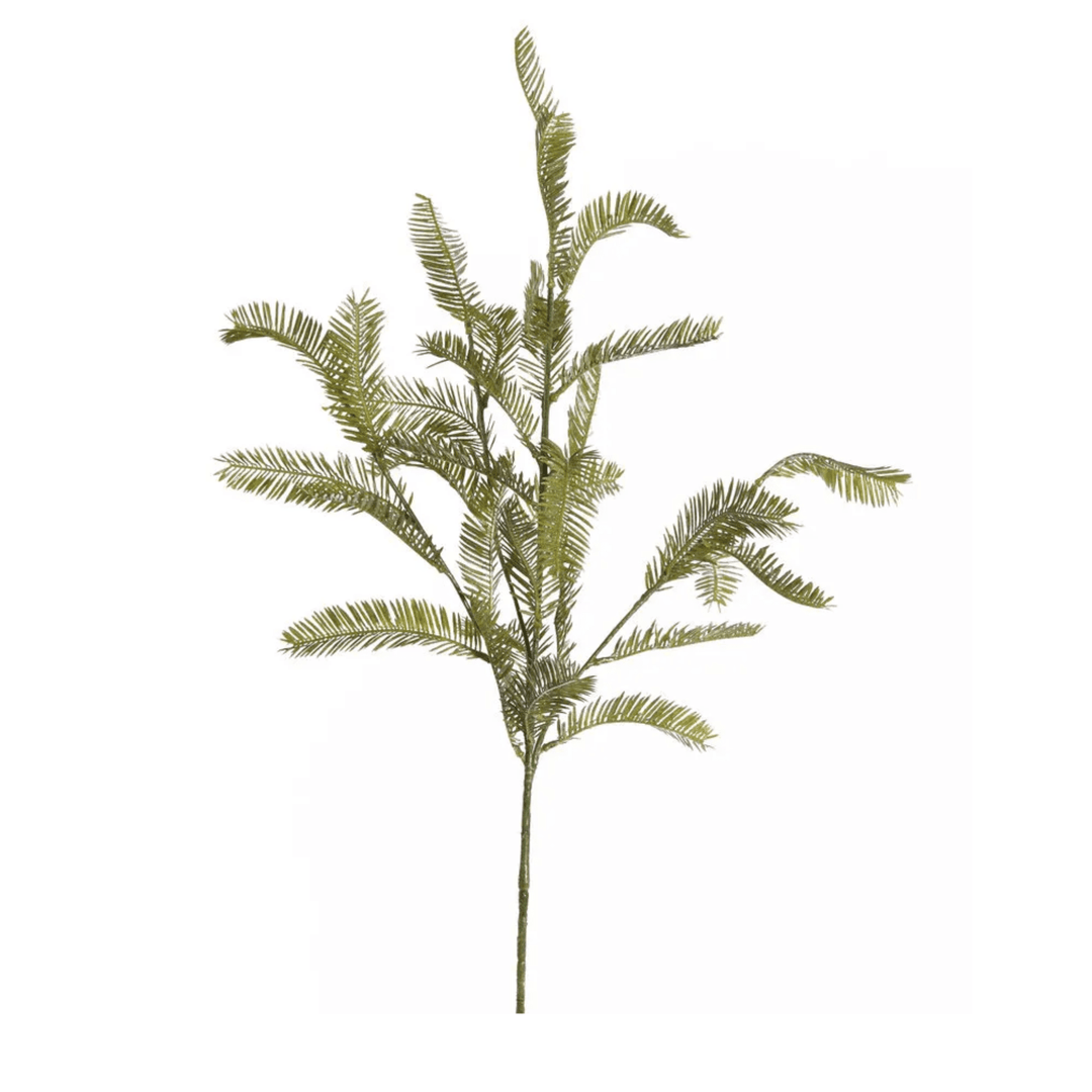 Ramita de Tuya - La Compañía Francesa