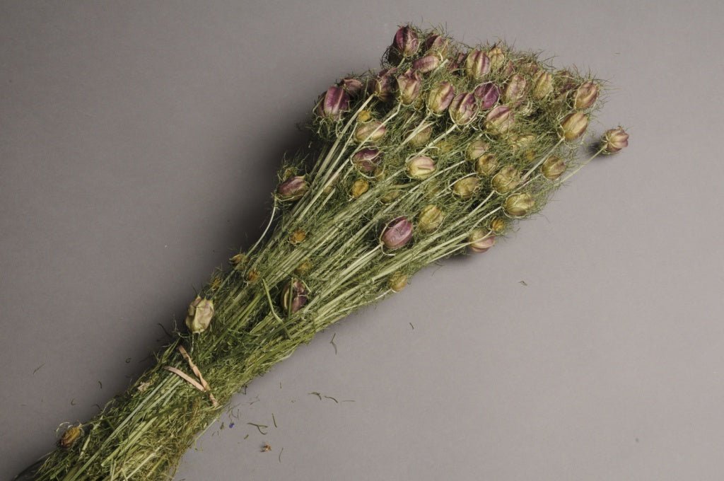 Ramo de Nigella - La Compañía Francesa